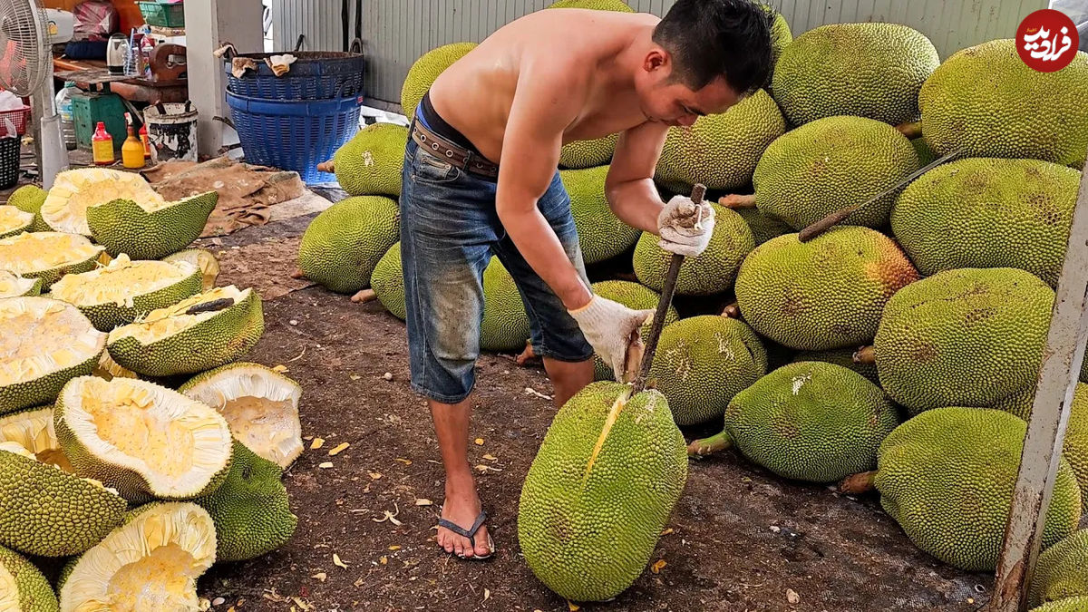 (ویدئو) روش های جالب و ماهرانه شرق آسیایی ها برای برش زدن میوه دوریان