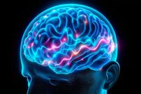 محققان: فقط 10 روز بی‌تحرکی می‌تواند به مغز آسیب برساند