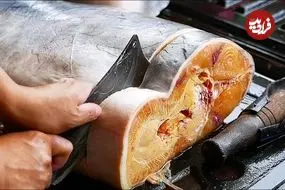 ببینید| غذای خیابانی در تایلند؛ برش زدن گربه ماهی و تهیه دو نوع غذا با آن در بانکوک