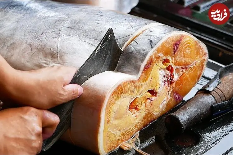 ببینید| غذای خیابانی در تایلند؛ برش زدن گربه ماهی و تهیه دو نوع غذا با آن در بانکوک