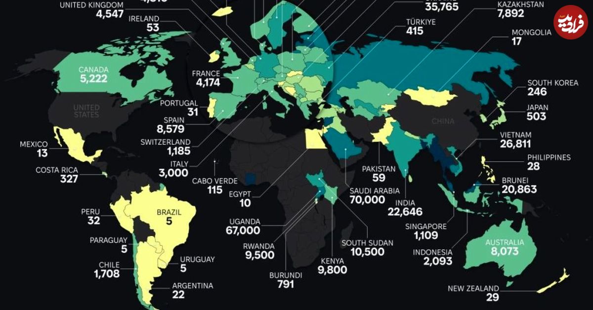 کشورهایی که بیشترین جمعیت بدون تابعیت در جهان را دارند؟ + نقشه