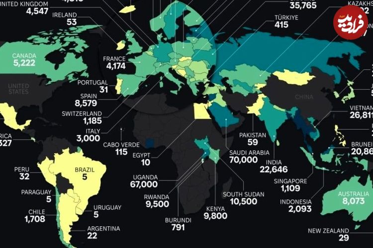 کشورهایی که بیشترین جمعیت بدون تابعیت در جهان را دارند؟ + نقشه