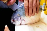 ببینید| غذای خیابانی در آمریکا؛ ماهی کبابی در سس کاری و لیمو در نیویورک