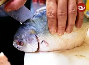 ببینید| غذای خیابانی در آمریکا؛ ماهی کبابی در سس کاری و لیمو در نیویورک