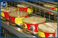 ببینید؛ نگاهی به مراحل تولید کنسرو تن ماهی در کارخانه 