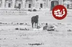 عکس| سفر زمان؛ منظرۀ زیبای «کاروانسرای منظریه» در دوران ناصرالدین شاه