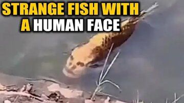 (عکس) شکار یک ماهی عجیب با صورت انسان!