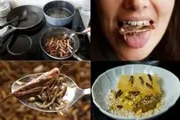 ( ویدیو) عجیب‌ترین غذاهای کشورهای مختلف دنیا 
