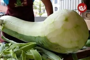 ببینید| غذای خیابانی در تایوان؛ روش سنتی تهیه چای خربزه زمستانی در تایپه