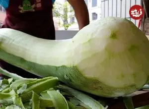 ببینید| غذای خیابانی در تایوان؛ روش سنتی تهیه چای خربزه زمستانی در تایپه