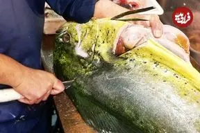 ببینید| غذای خیابانی در ژاپن؛ برش ماهرانه دلفین ماهی و پخت غذا با آن در توکیو