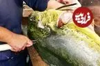 ببینید| غذای خیابانی در ژاپن؛ برش ماهرانه دلفین ماهی و پخت غذا با آن در توکیو