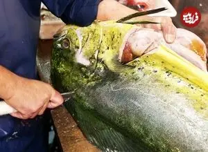 ببینید| غذای خیابانی در ژاپن؛ برش ماهرانه دلفین ماهی و پخت غذا با آن در توکیو