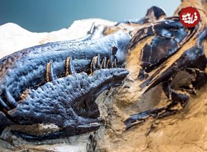 خویشاوند تازۀ «شکارچی مشهور ماقبل تاریخ» پیدا شد