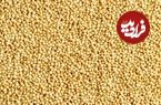 این دانه‌های کوچک در حفظ سلامتی ما نقش مهمی را برعهده دارند