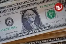 قیمت دلار امروز شنبه 25 مهر 1405؛ افت 3100 تومانی
