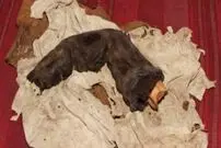 عکس| کشف انگشت ۳۸ سانتی‌متری در مصر؛ مدرک وجود غول‌ها یا یک داستان ساختگی؟