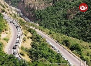 عکس؛ سفر در زمان؛ «جاده چالوس در دوران قاجار این شکلی بود»؛ 110 سال قبل