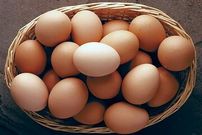 قیمت تخم‌مرغ به شدت کاهش یافت؛ یک شانه تخم‌مرغ چند؟