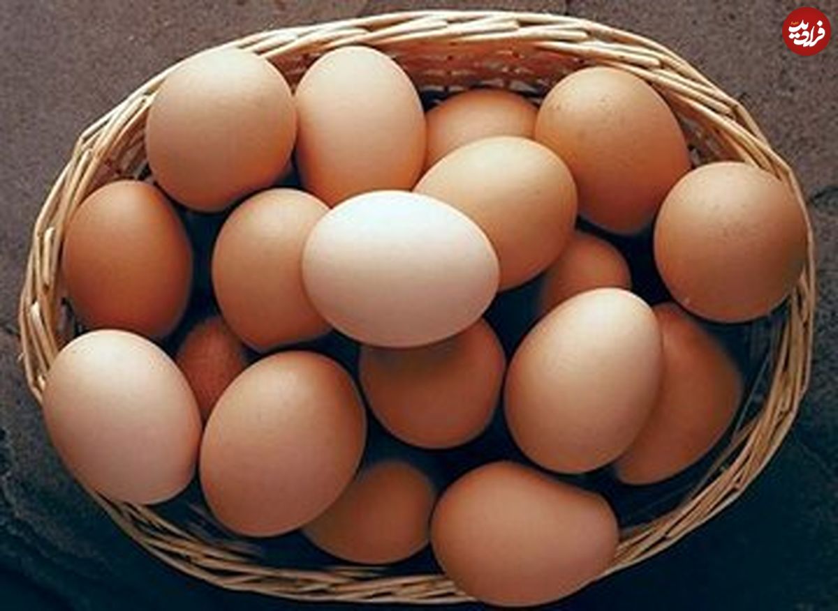 قیمت تخممرغ به شدت کاهش یافت؛ یک شانه تخممرغ چند؟
