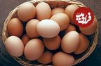 قیمت تخم‌مرغ به شدت کاهش یافت؛ یک شانه تخم‌مرغ چند؟