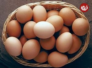 قیمت تخم‌مرغ به شدت کاهش یافت؛ یک شانه تخم‌مرغ چند؟