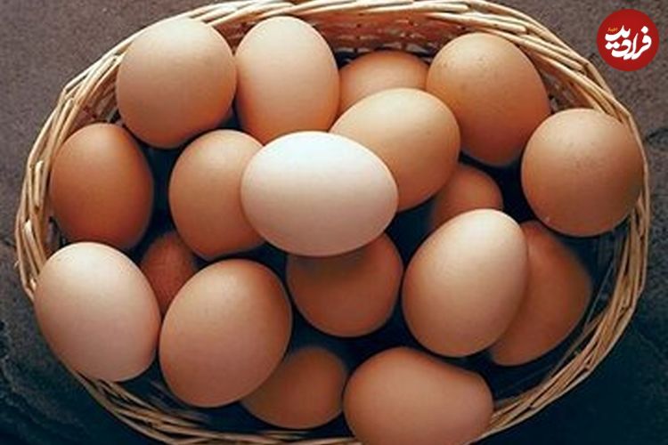 قیمت تخم‌مرغ به شدت کاهش یافت؛ یک شانه تخم‌مرغ چند؟