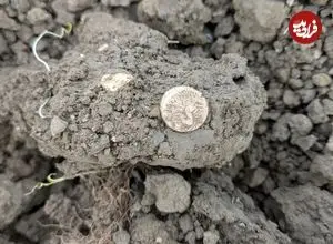 گنج سکه‌های طلای 2 هزارساله در یک مزرعه پیدا شد