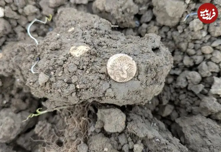 گنج سکه‌های طلای 2 هزارساله در یک مزرعه پیدا شد