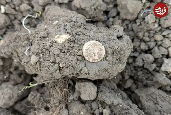 گنج سکه‌های طلای 2 هزارساله در یک مزرعه پیدا شد