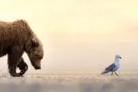 شاهکارهای عکاسی طبیعت در سال 2025 که برندۀ جایزه شدند