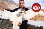 ببینید| غذای روستایی در آذربایجان؛ مرغابی بریانی در تنور و در طبیعت برفی
