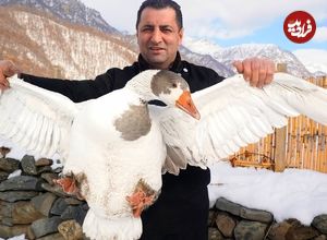 ببینید| غذای روستایی در آذربایجان؛ مرغابی بریانی در تنور و در طبیعت برفی