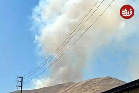 مرگ سوزان حمید مرادی، فعال زیست‌محیطی در «آبیدر»