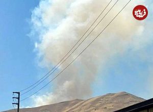 مرگ سوزان حمید مرادی، فعال زیست‌محیطی در «آبیدر»