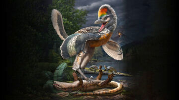( عکس) عظمت پرنده باستانی دانشمندان را شگفت‌زده کرد