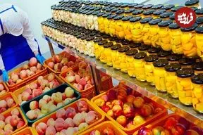 ببینید| مراحل دیدنی برداشت هلو و تهیه کمپوت با آن در کره جنوبی