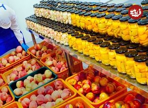 ببینید| مراحل دیدنی برداشت هلو و تهیه کمپوت با آن در کره جنوبی