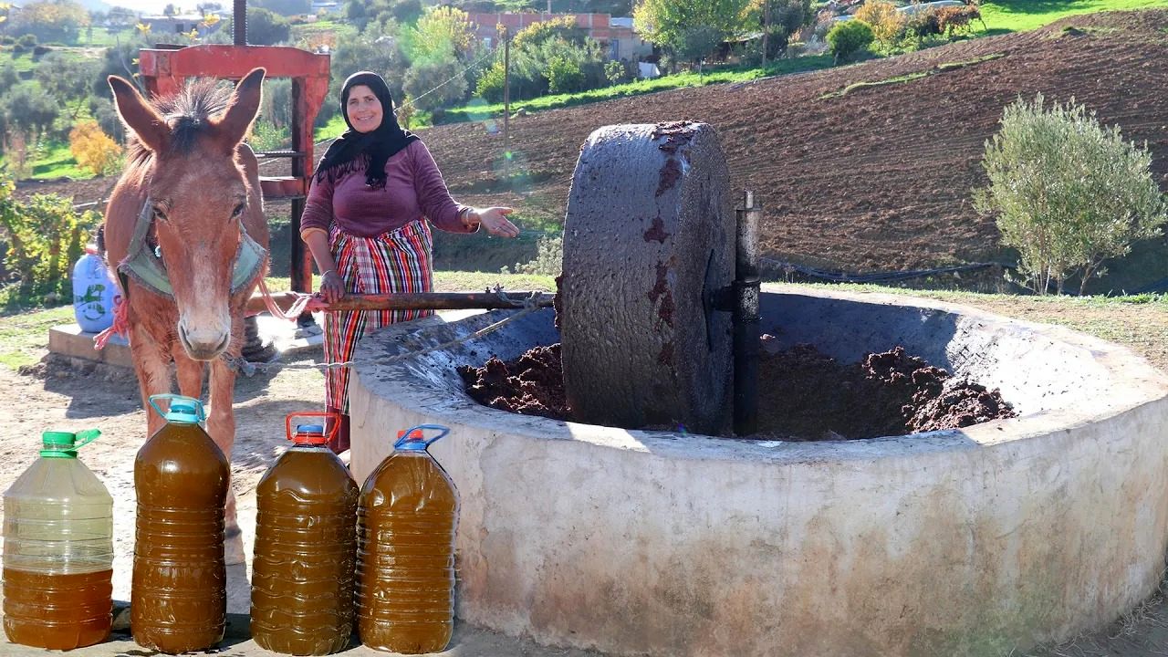 (ویدئو) روش خلاقانه و باستانی خانواده روستایی مراکشی برای تهیه روغن زیتون