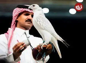 ببینید|  فروش یک شاهین سفید به قیمت ۶۴ میلیارد تومان
