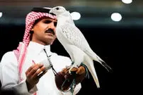 ببینید|  فروش یک شاهین سفید به قیمت ۶۴ میلیارد تومان