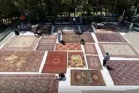 ماجرای قطع درختان موزه فرش