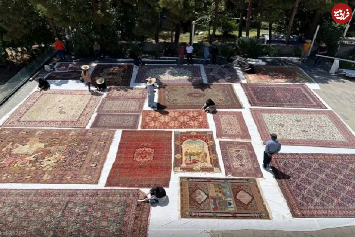 ماجرای قطع درختان موزه فرش