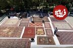 ماجرای قطع درختان موزه فرش