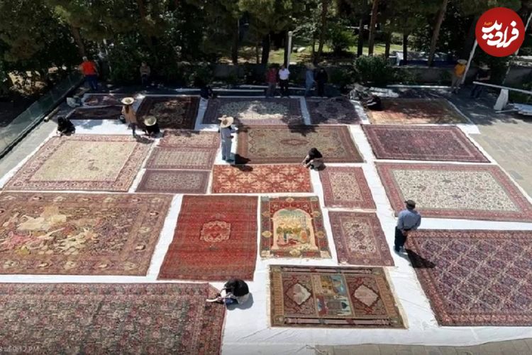 ماجرای قطع درختان موزه فرش