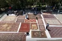 ماجرای قطع درختان موزه فرش