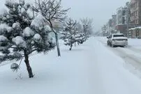 ببینید؛ ارتفاع برف در این نقطه از کشور به ۲۰ سانتیمتر رسید 