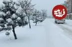 ببینید؛ ارتفاع برف در این نقطه از کشور به ۲۰ سانتیمتر رسید 