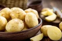 از تازگی تا فساد؛ هر آنچه باید درباره انتخاب سیب زمینی بدانید + اینفوگرافیک