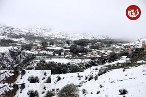 (تصاویر) بارش برف در مناطق کوهستانی شهمیرزاد - استان سمنان